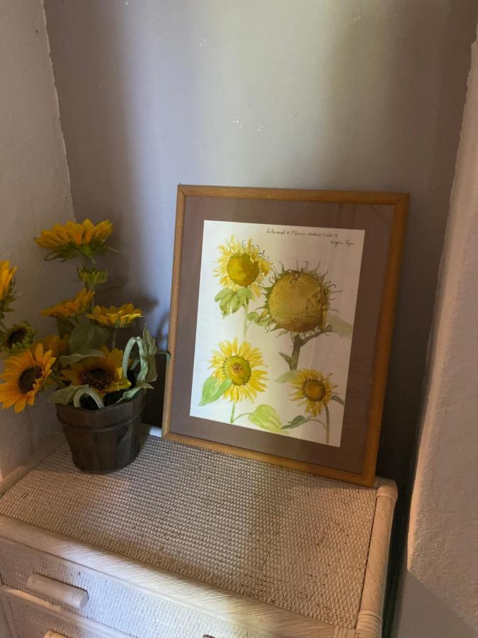 Maison Ventoux 1 Luxe Calme Central Linge Fourni Malaucène Dış mekan fotoğraf